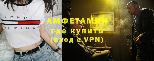 хмурый Алексин